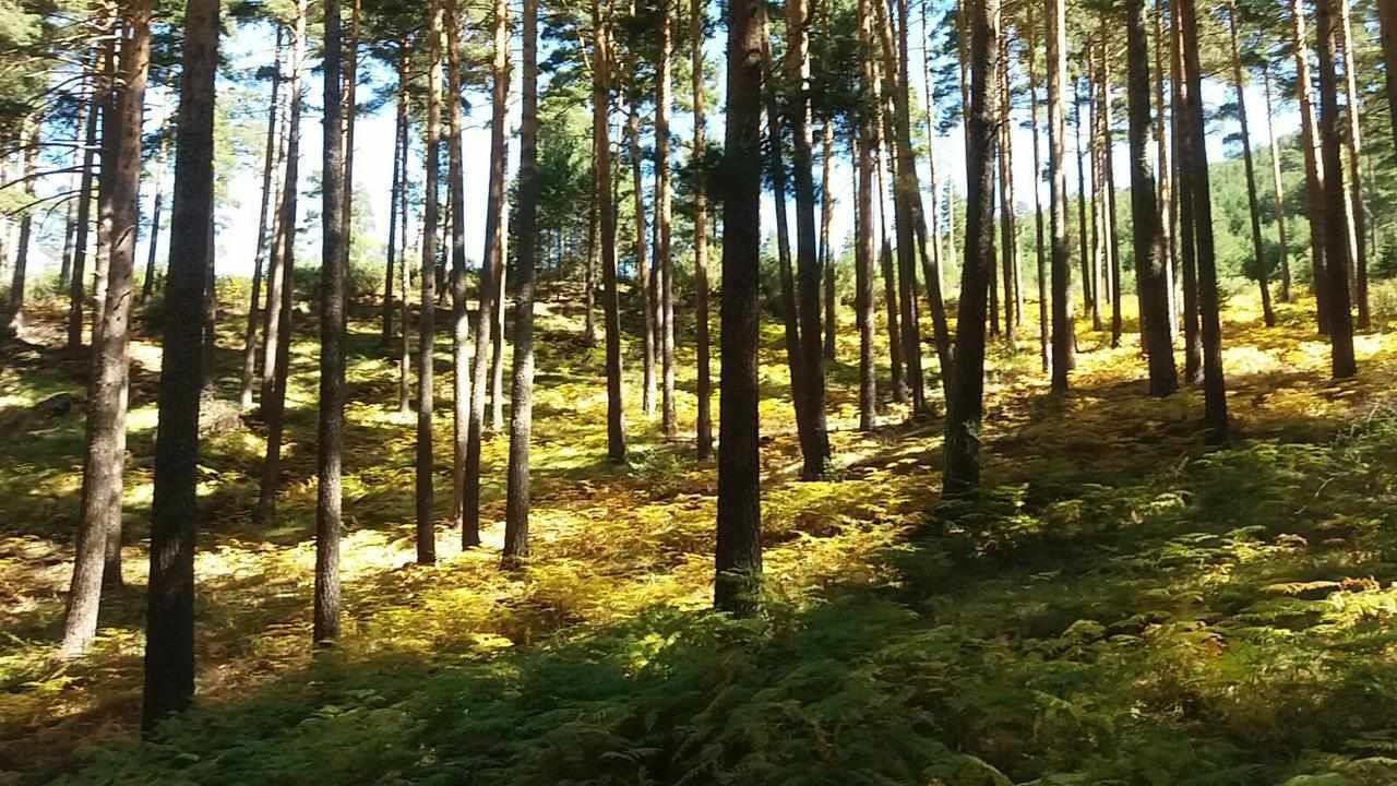 Photo of Others in Valsain