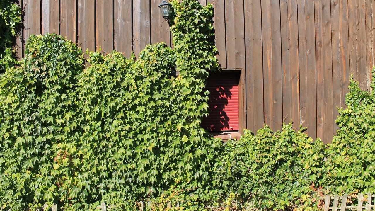 Photo of Outdoor in Valsain