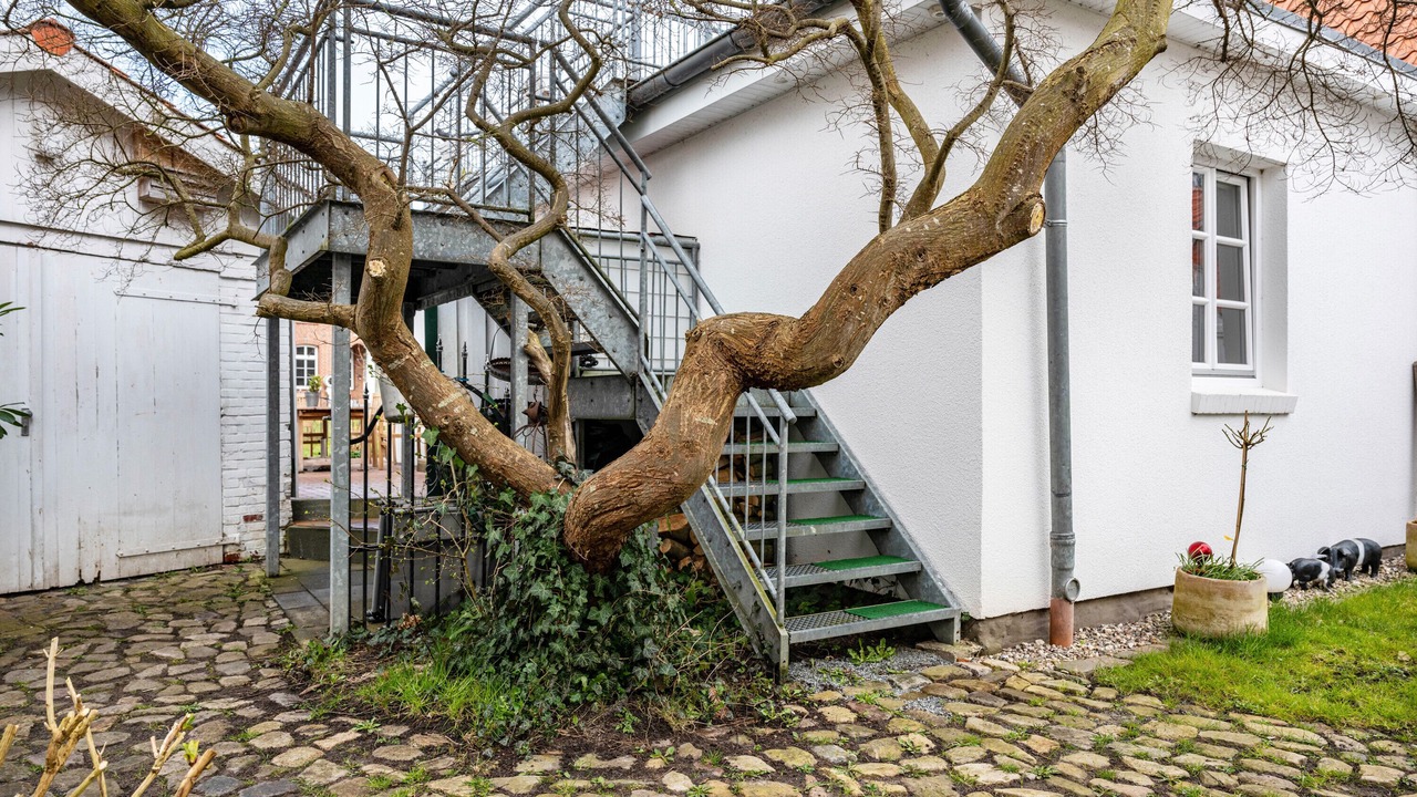 Photo of Outdoor in Wesselburen