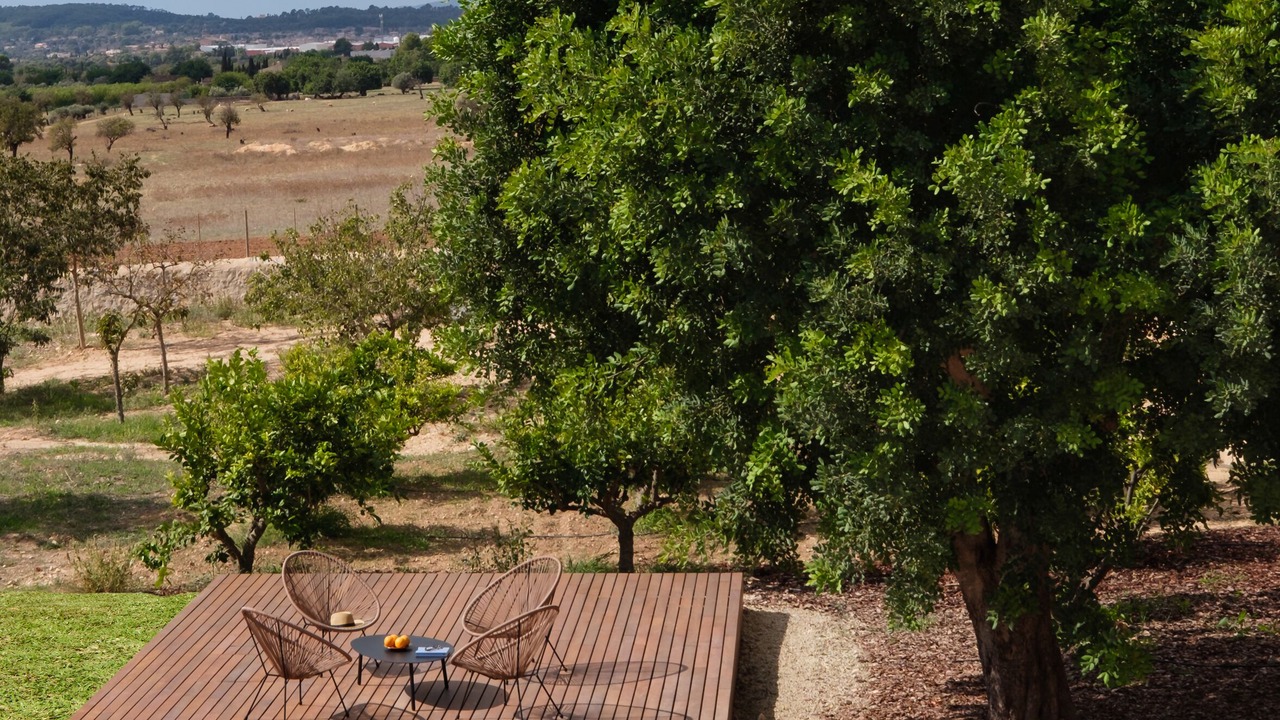 Photo of Outdoor in Consell