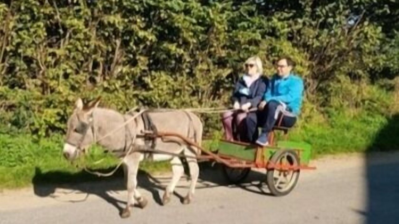 Photo of Others in Hanerau-Hademarschen