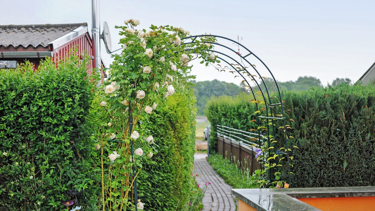 Photo of Outdoor in Kummerow