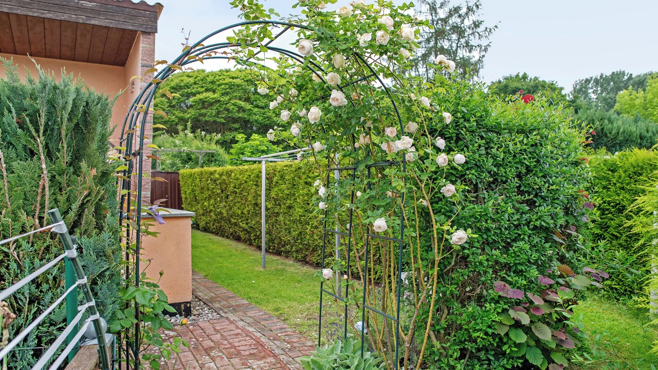 Photo of Outdoor in Kummerow