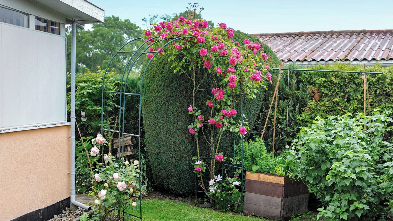 Photo of Outdoor in Kummerow