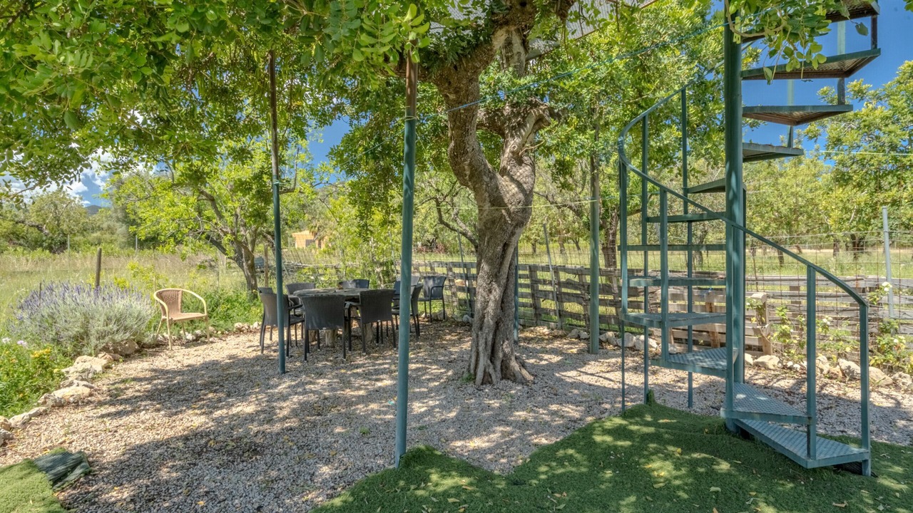 Photo of Outdoor in Binibona