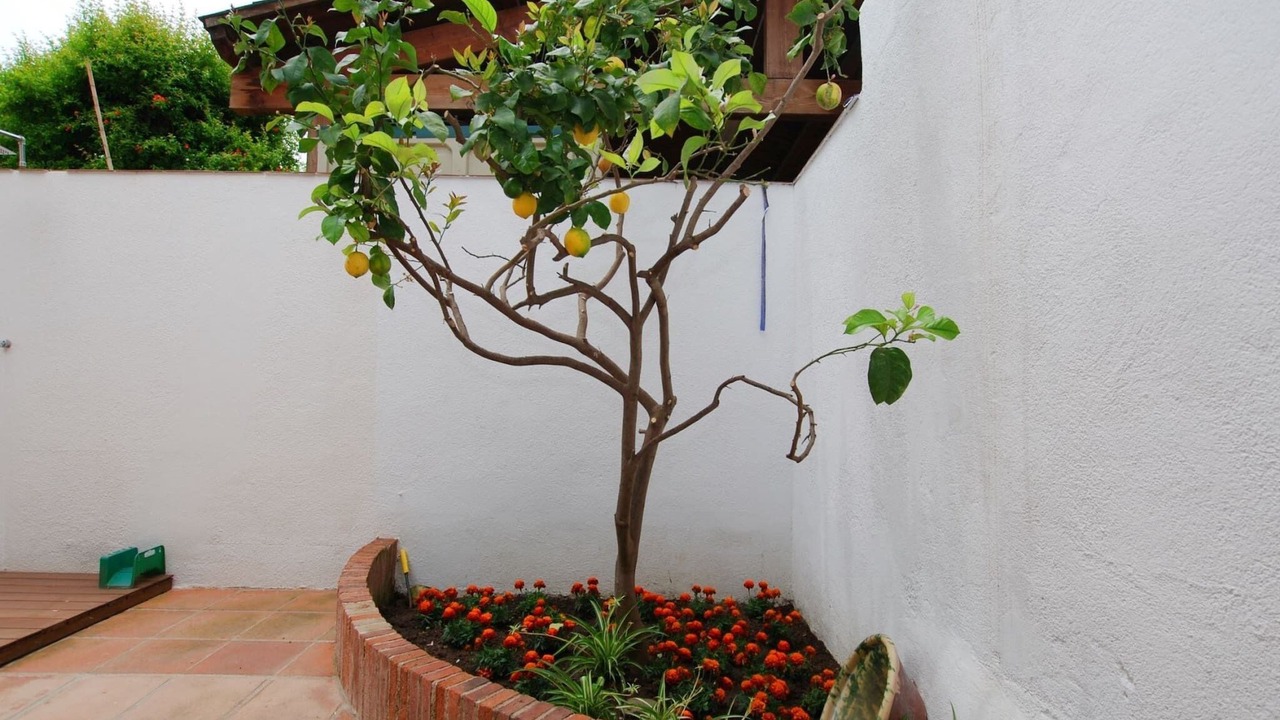 Photo of Outdoor in Vilassar de Mar