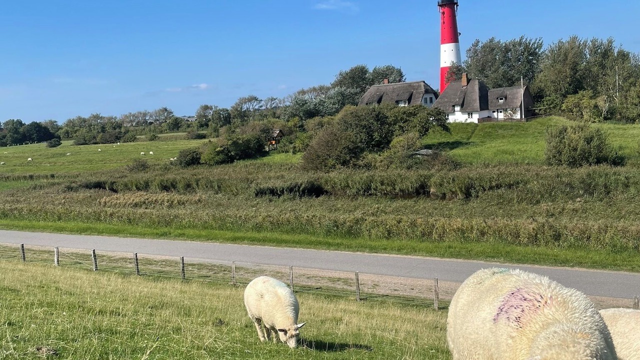 Photo of Others in Pellworm