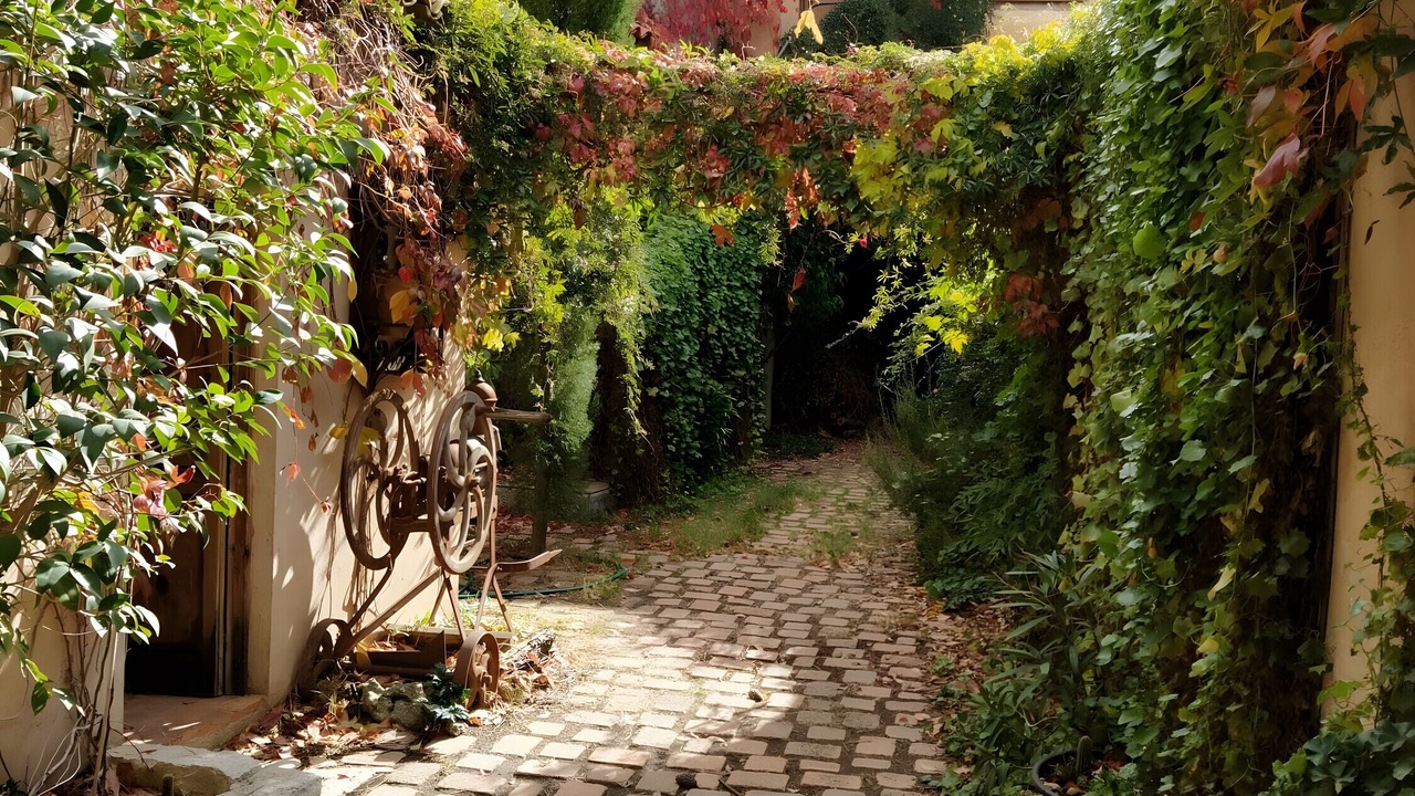 Photo of Outdoor in Villarrubia de Santiago