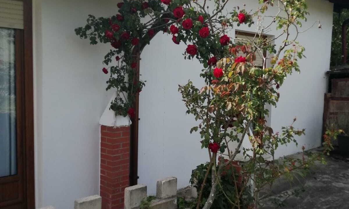 Photo of Outdoor in Barcena de Cicero