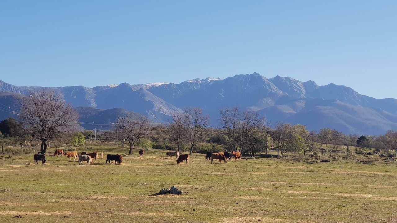 Photo of Others in Villanueva De La Vera