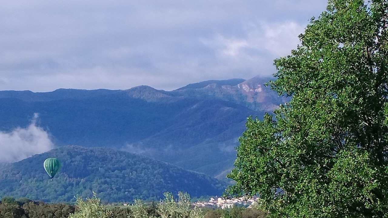 Photo of Others in Tortella