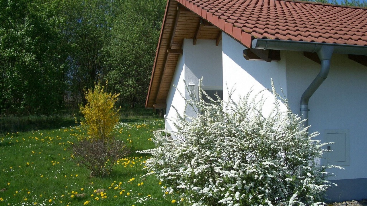 Photo of Outdoor in Uslar