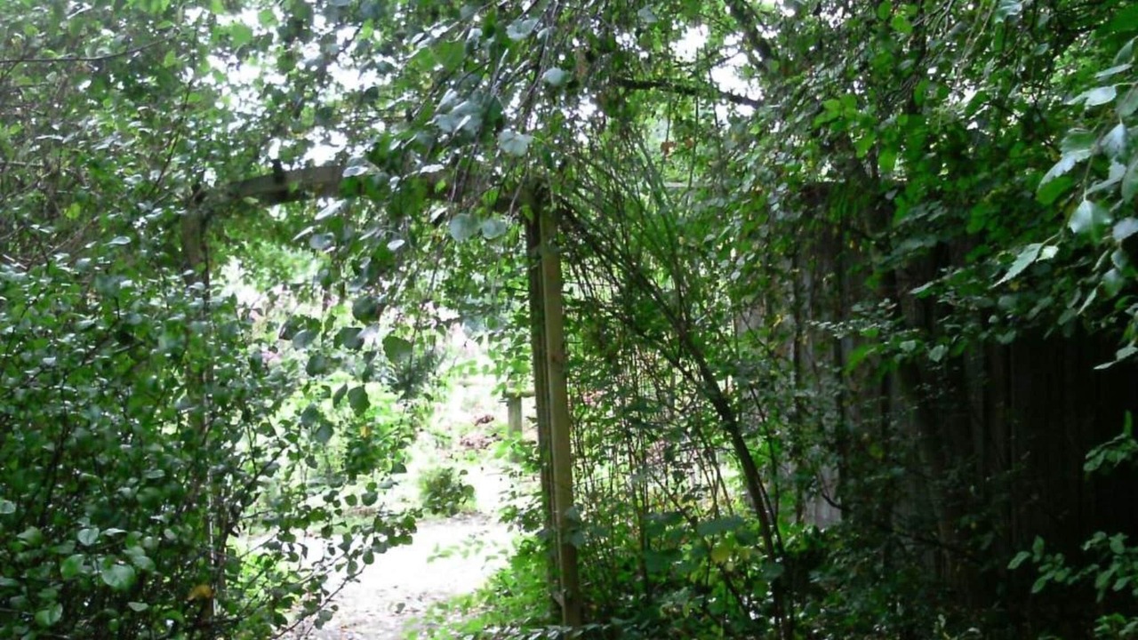 Photo of Others in Wietzendorf