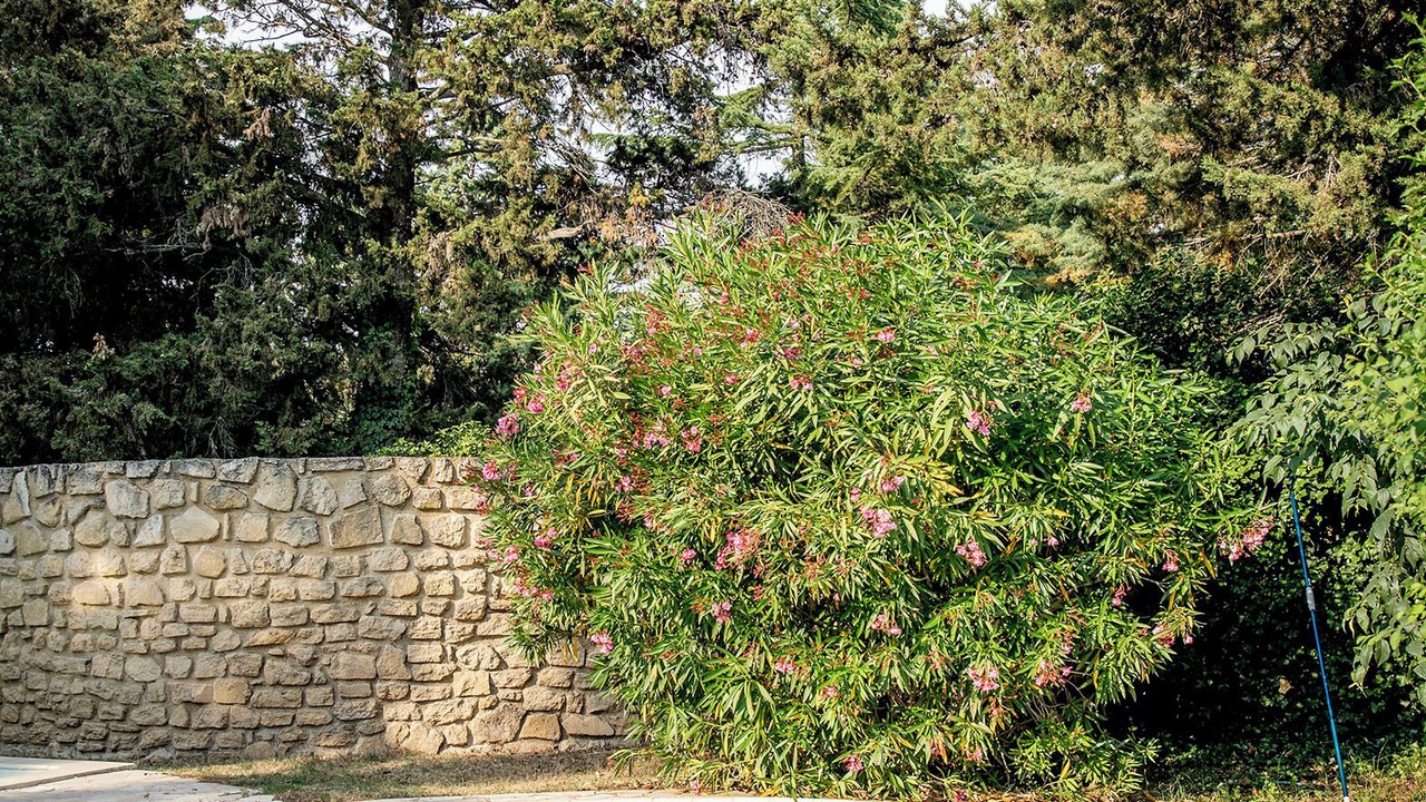 Photo of Outdoor in Carpentras