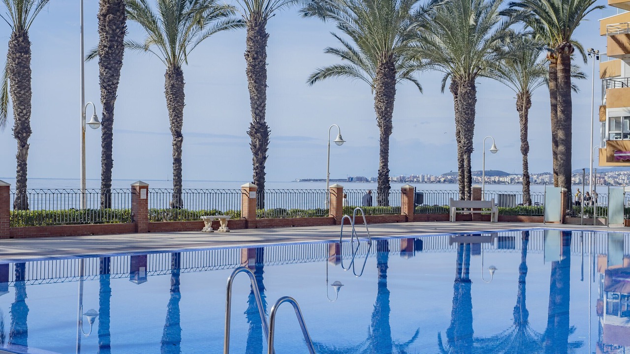 Photo of Outdoor in Algarrobo