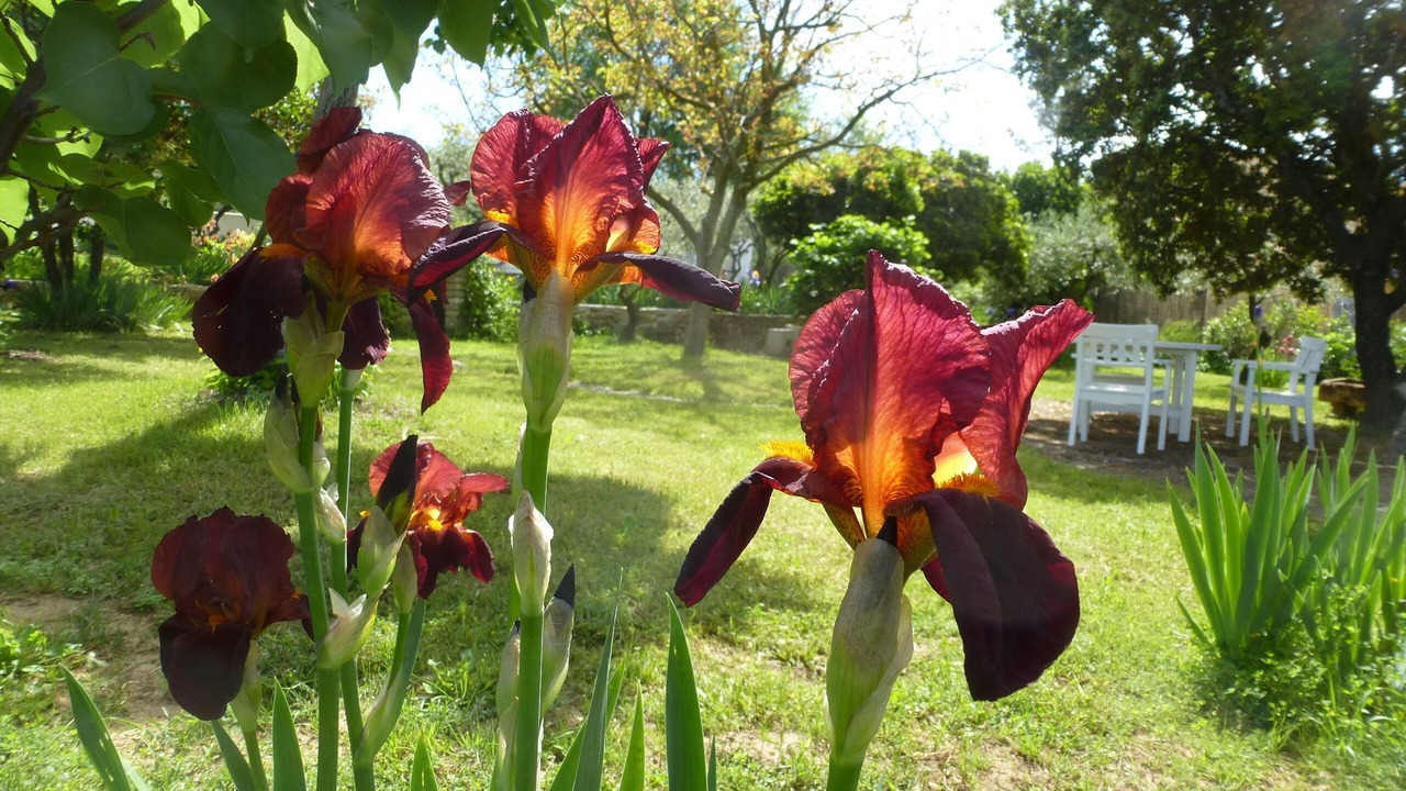 Photo of Outdoor in Sagries