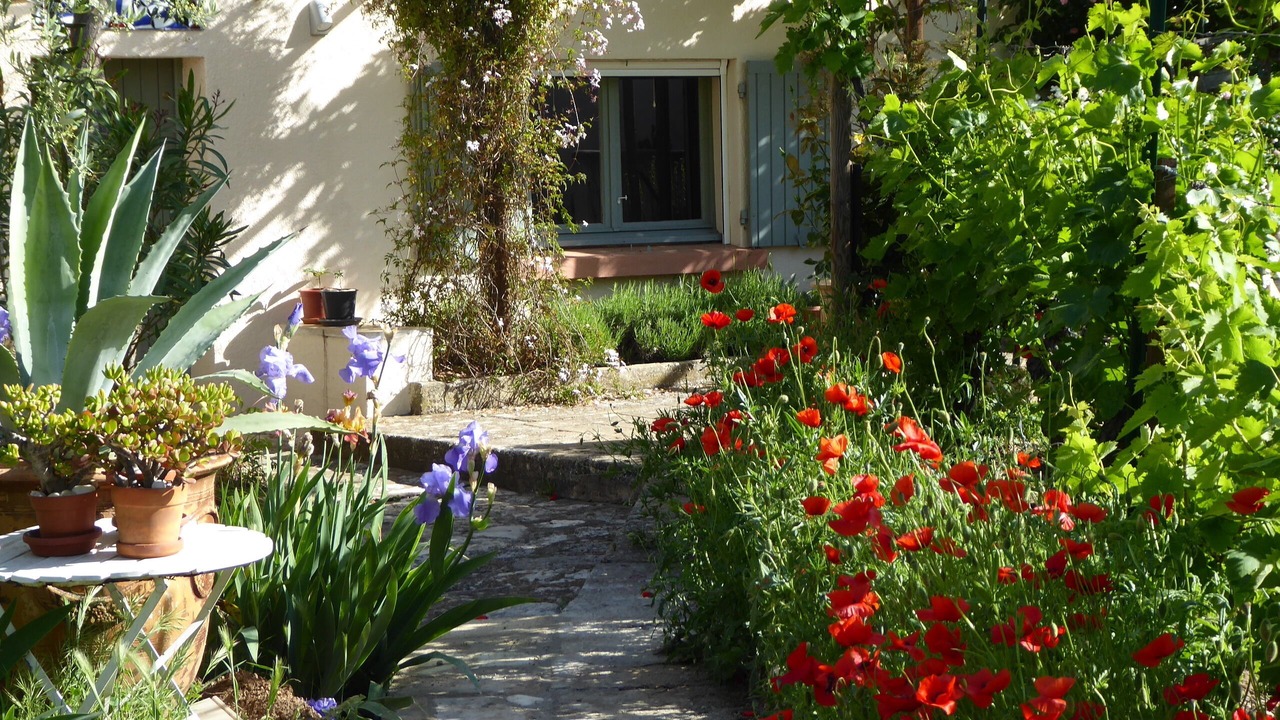 Photo of Outdoor in Sagries
