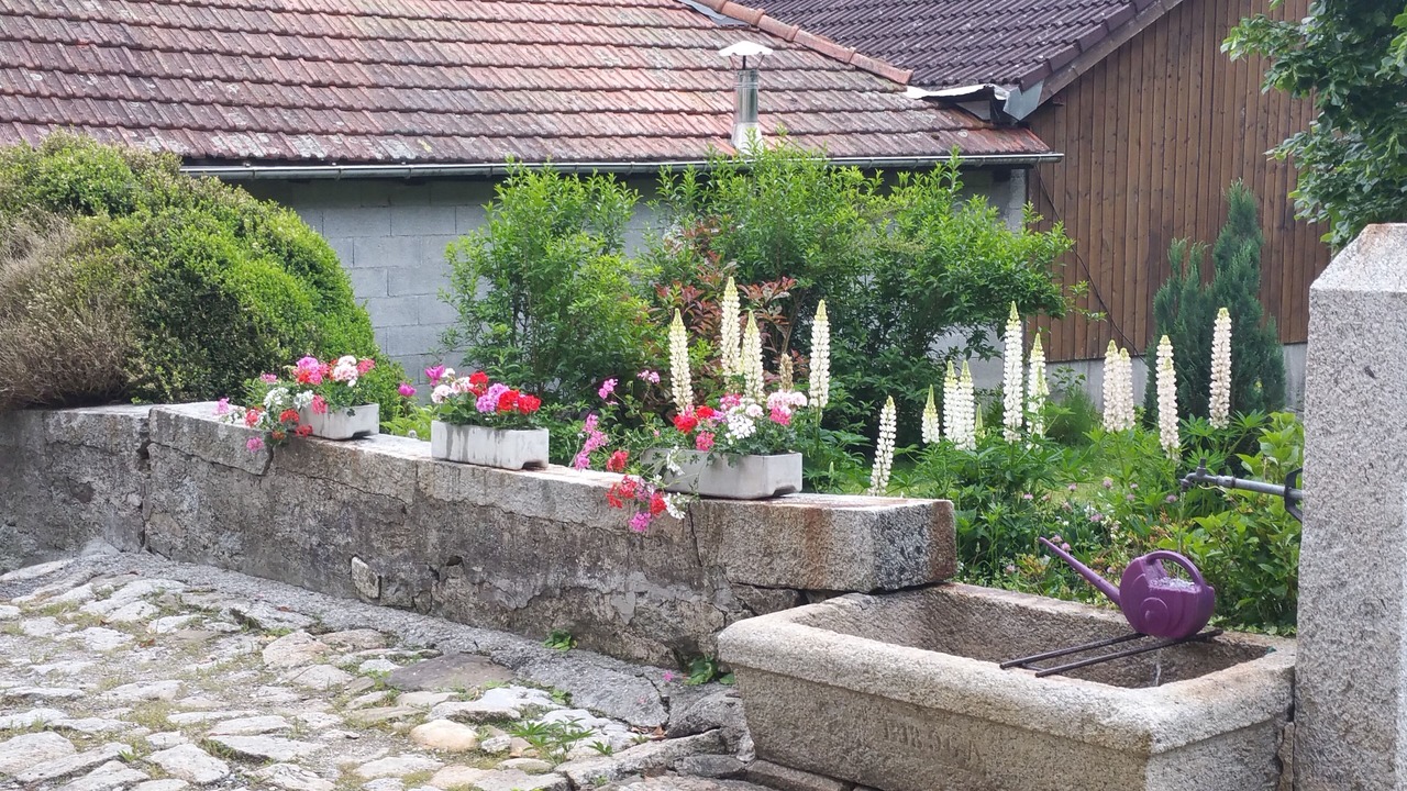 Photo of Outdoor in Magland