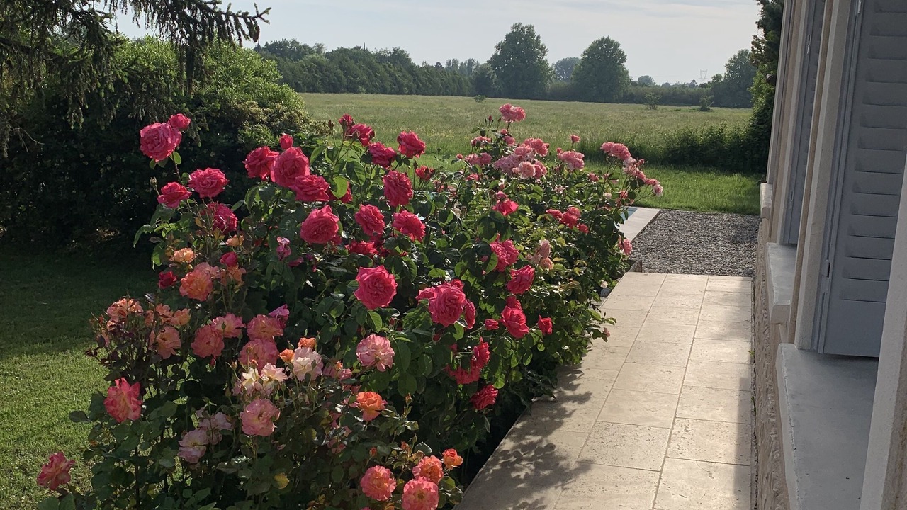 Photo of Outdoor in St.-Remy-de-Provence