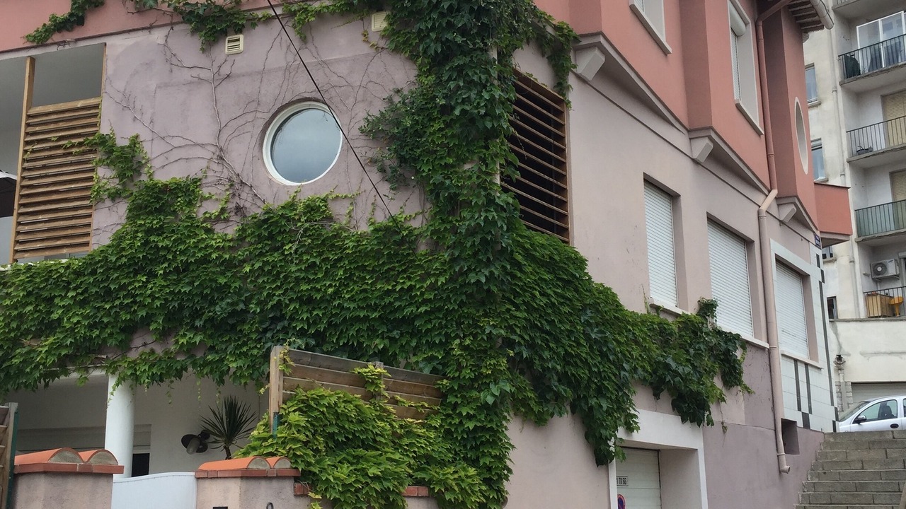 Photo of Outdoor in Saint-Martin