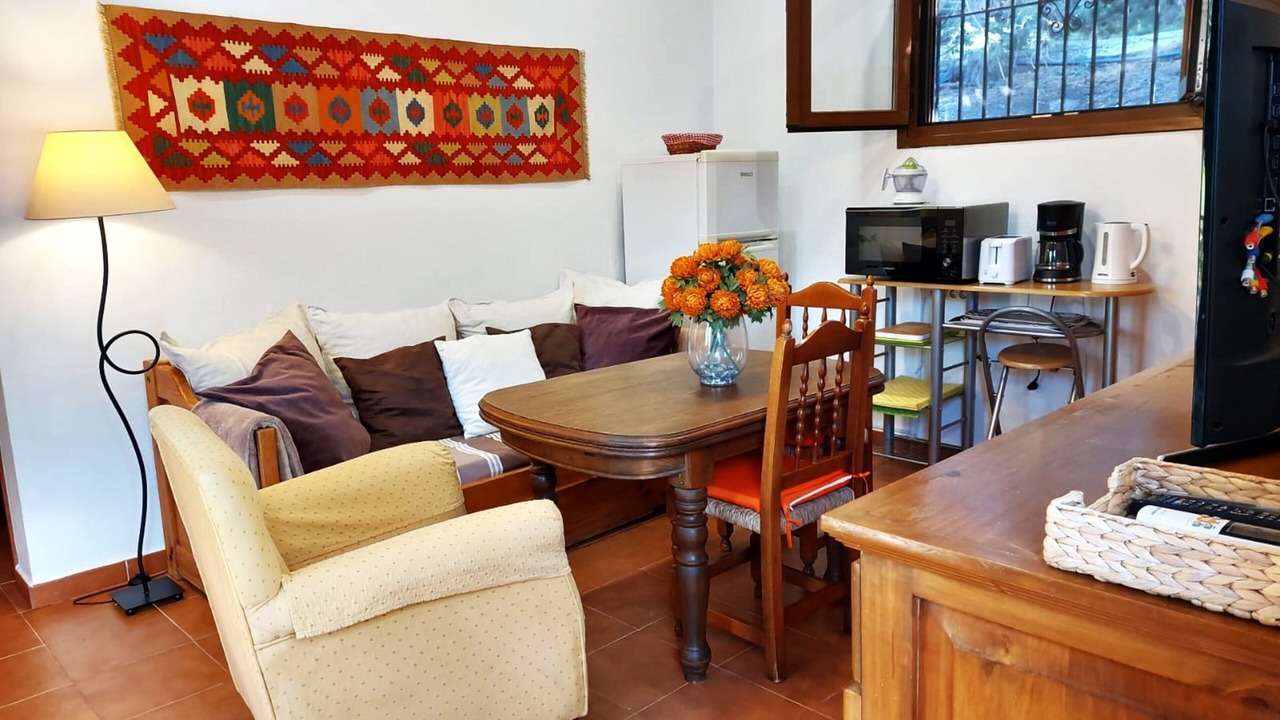 Photo of Livingroom in Malaga-Este