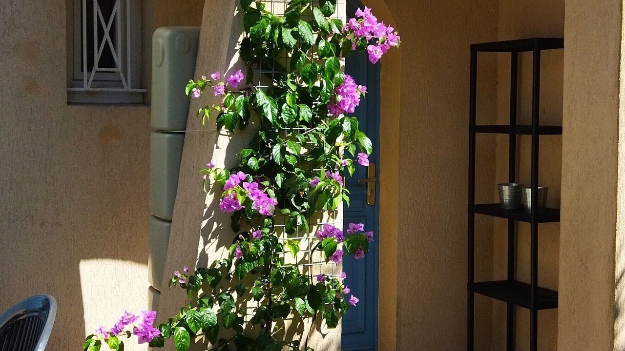 Photo of Outdoor in Lemasson