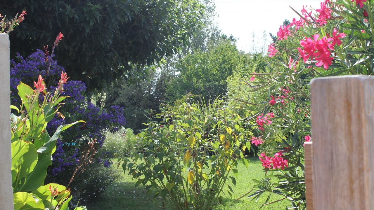 Photo of Outdoor in Tarascon