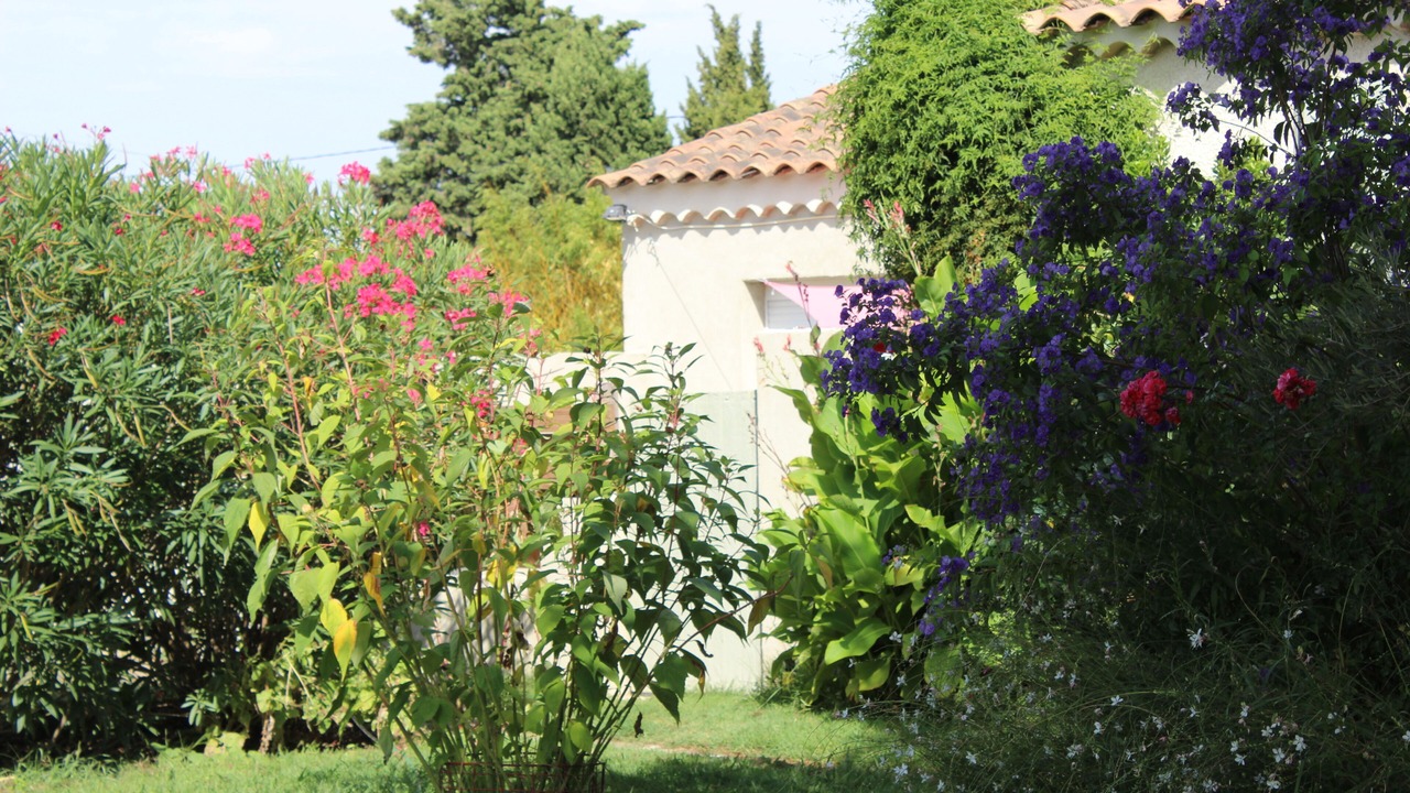 Photo of Outdoor in Tarascon