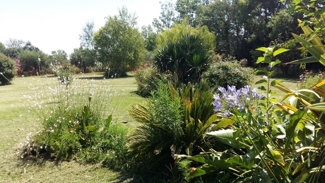 Photo of Outdoor in Tarascon