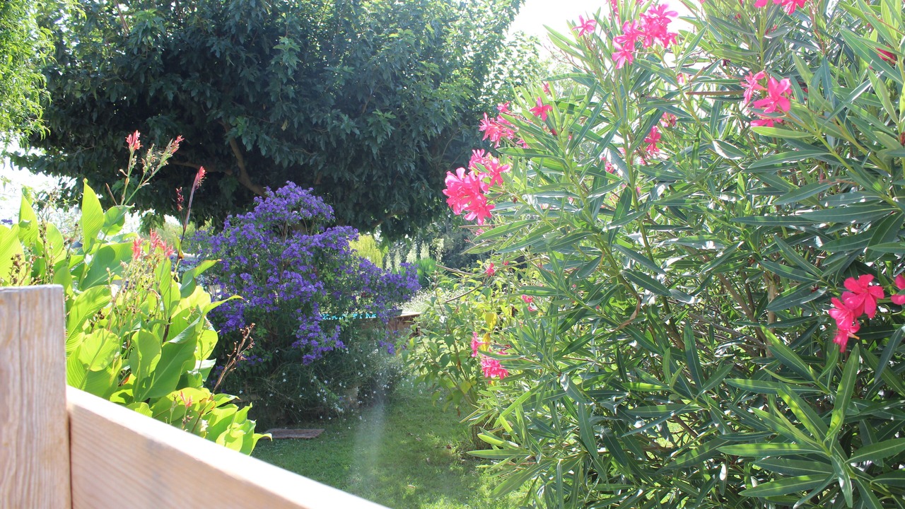 Photo of Outdoor in Tarascon