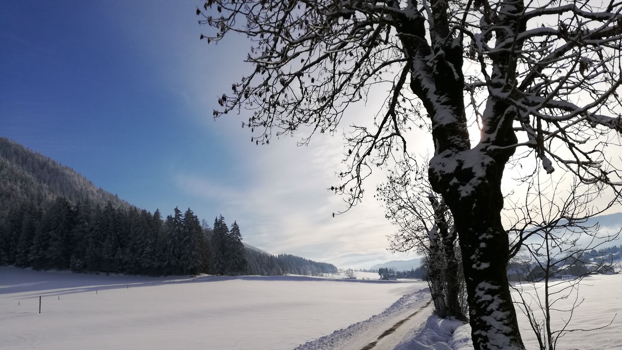 Photo of Others in Autrans-Meaudre-en-Vercors