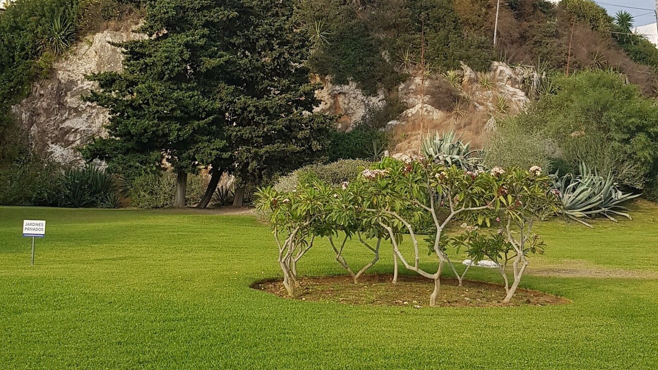 Photo of Outdoor in Bahia de Casares