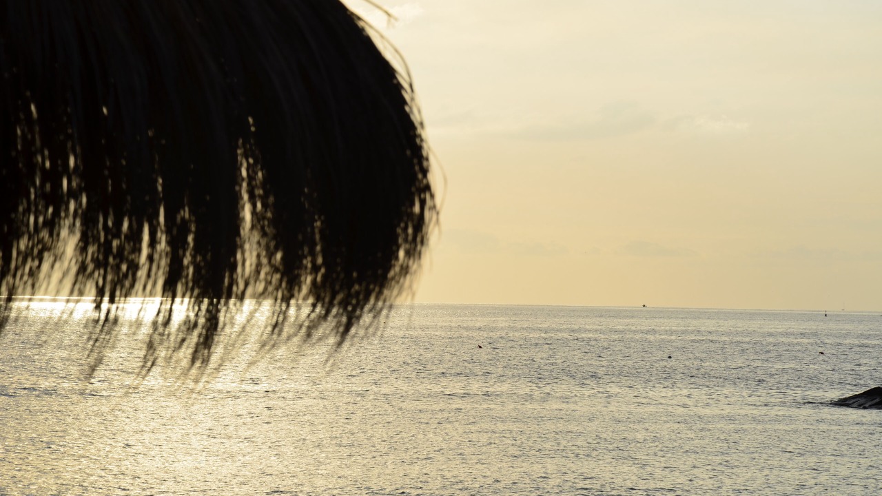 Photo of Others in Arona