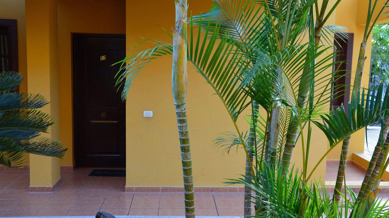 Photo of Outdoor in Arona