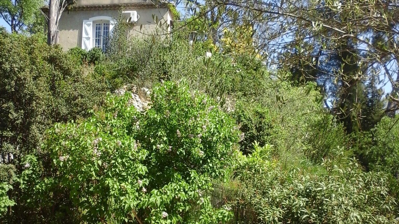 Photo of Outdoor in Les Angles