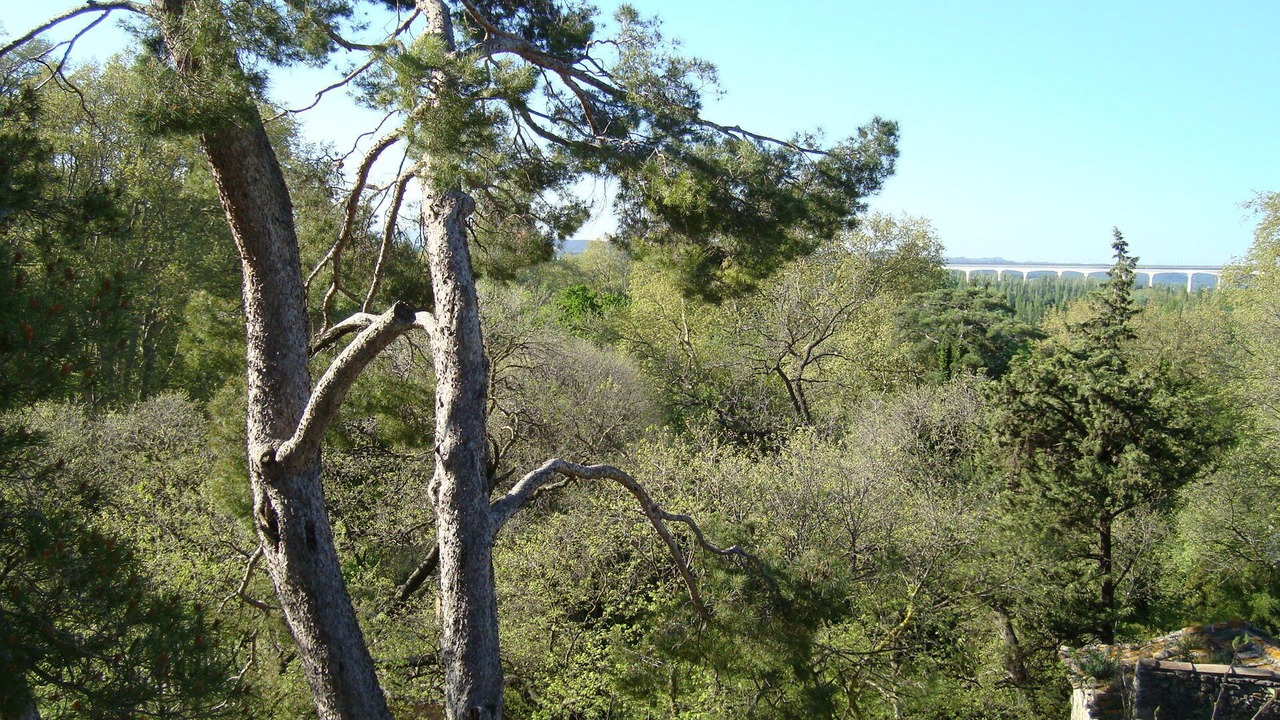 Photo of Outdoor in Les Angles