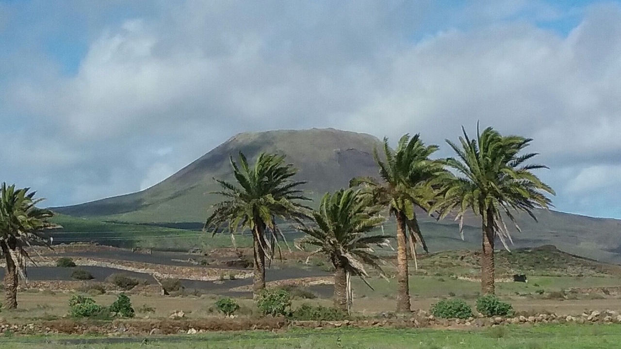Photo of Outdoor in Maguez
