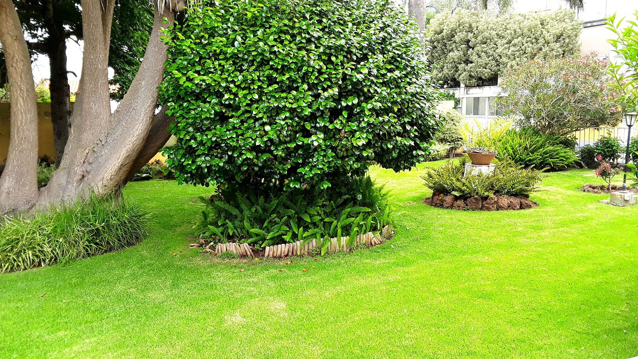 Photo of Outdoor in Tacoronte