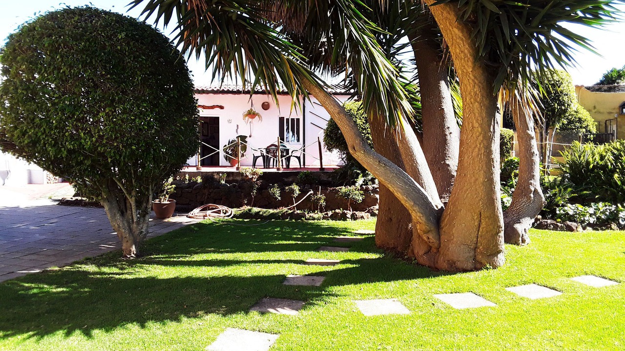 Photo of Outdoor in Tacoronte