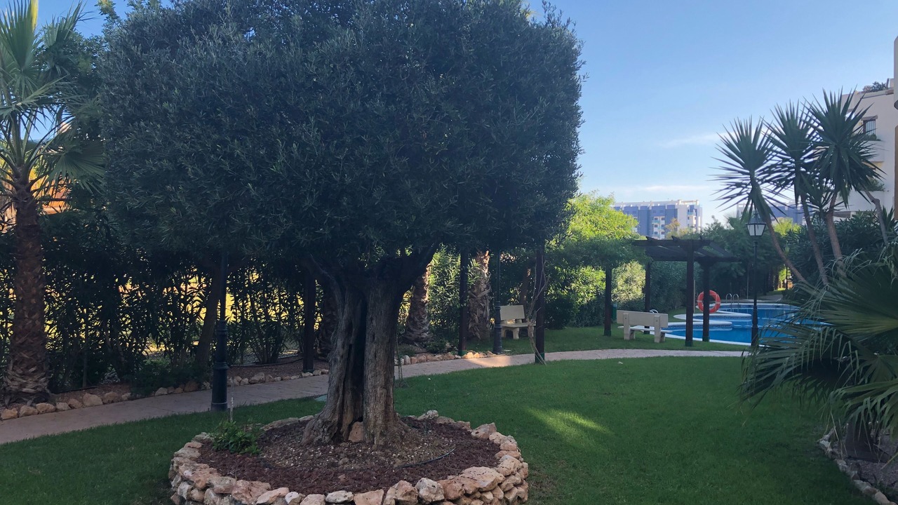 Photo of Outdoor in Punta Prima