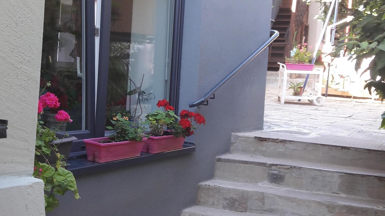 Photo of Outdoor in Mutzig