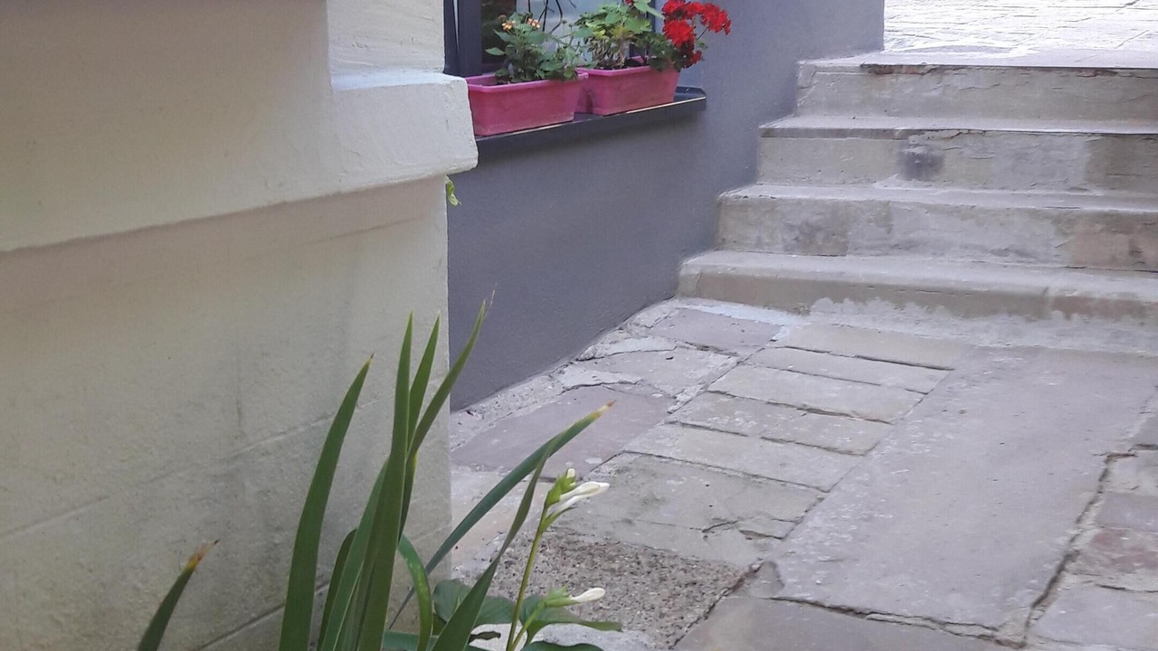 Photo of Outdoor in Mutzig