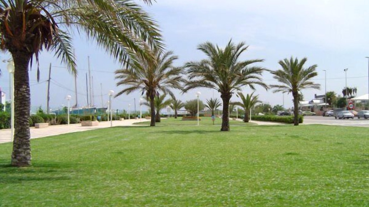 Photo of Others in Canet de Berenguer
