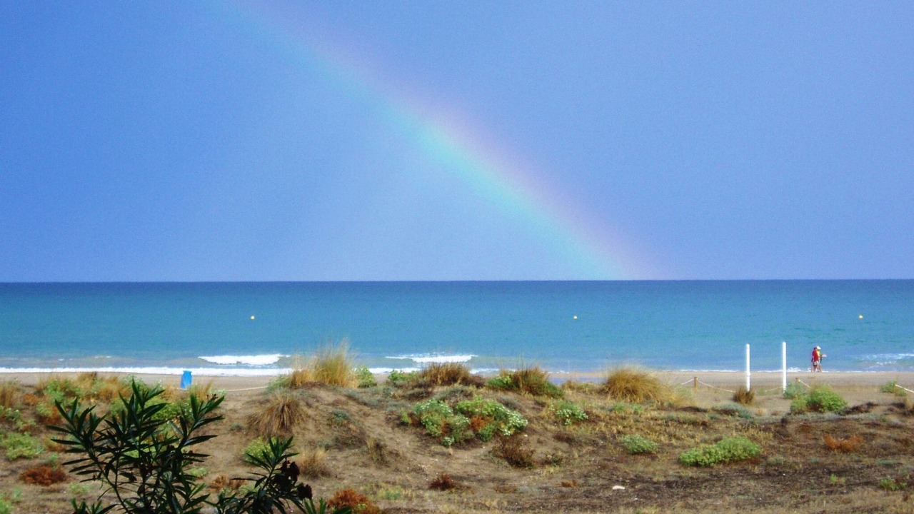 Photo of Others in Canet de Berenguer