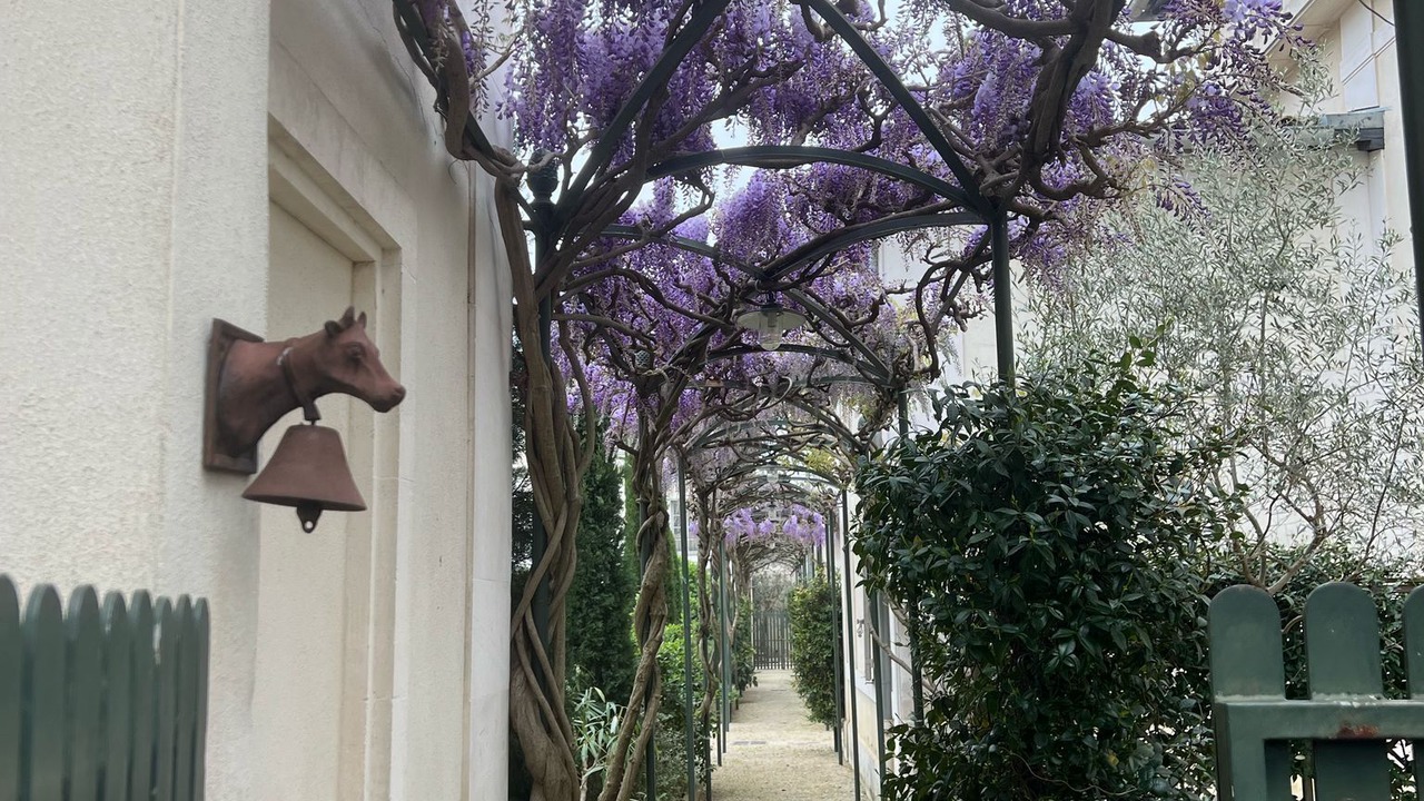 Photo of Outdoor in St.-Remy-de-Provence