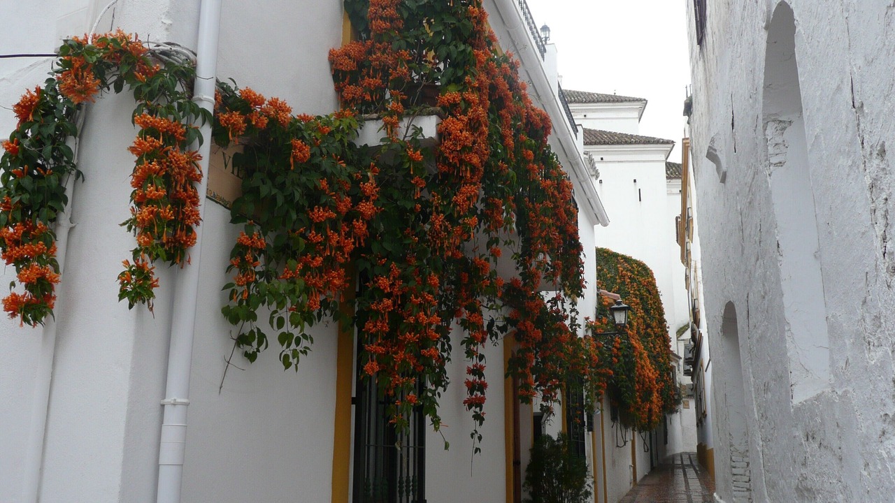 Photo of Others in La Gaspara