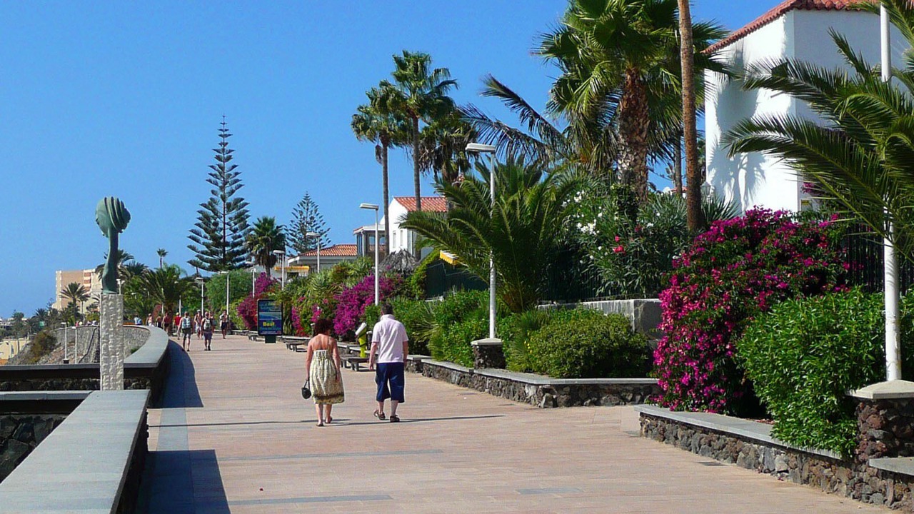 Photo of Outdoor in Mogan