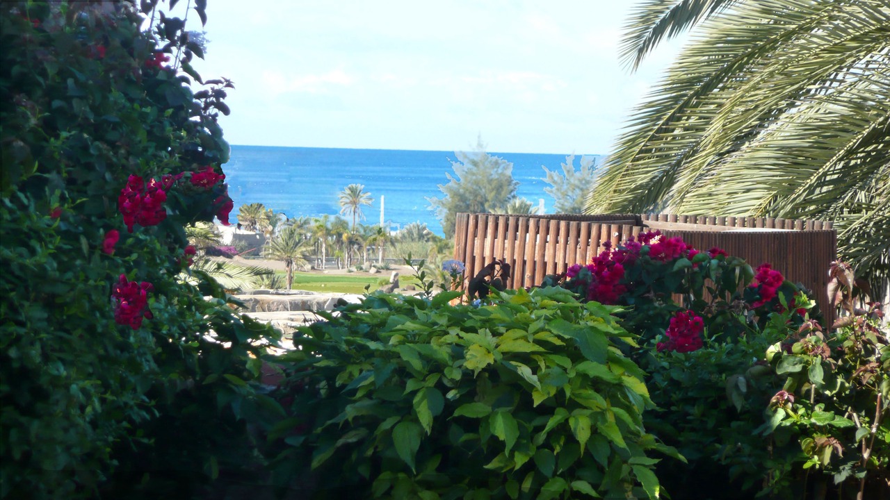 Photo of Outdoor in Mogan