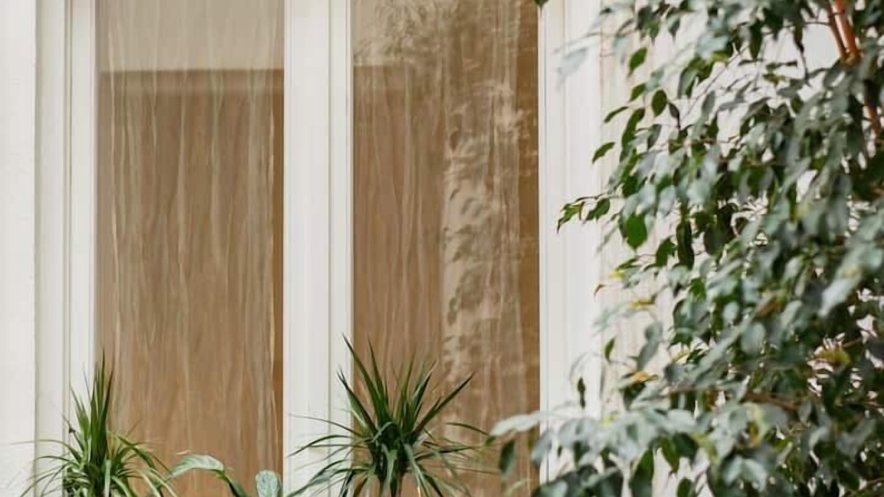 Photo of Outdoor in Ciutat Vella