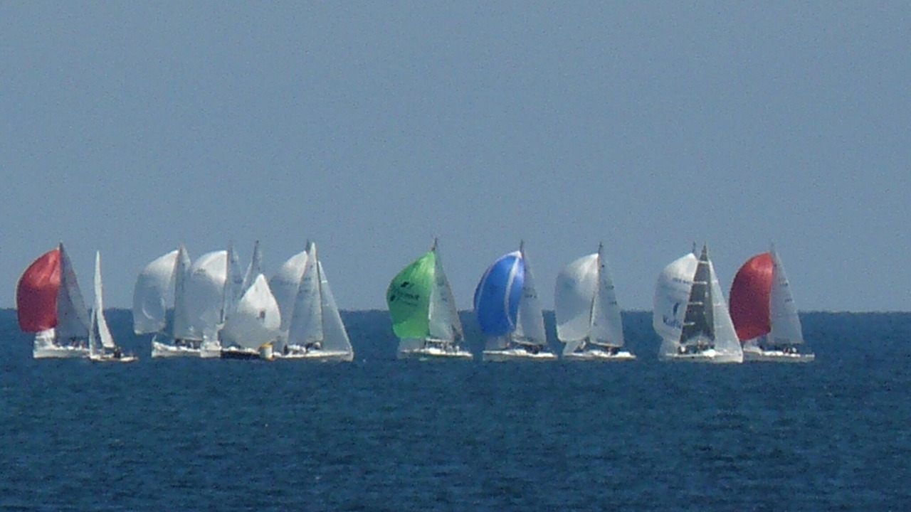 Photo of Others in Stein